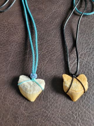 Pack TOP 2 Collares Diente Squalicorax Auténtico