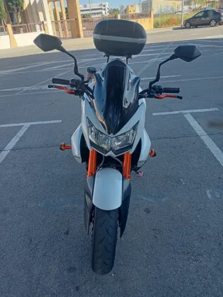 Kawasaki Z1000 2008 Edición Especial