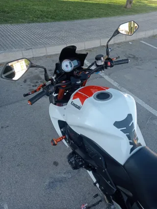 Kawasaki Z1000 2008 Edición Especial