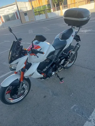 Kawasaki Z1000 2008 Edición Especial