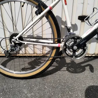 Bicicleta Scott Montana 26