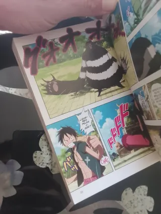 Mangas One Piece