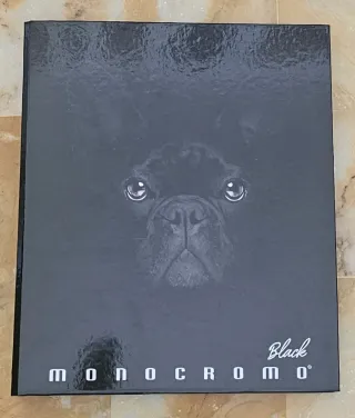 9 raccoglitori ad anelli