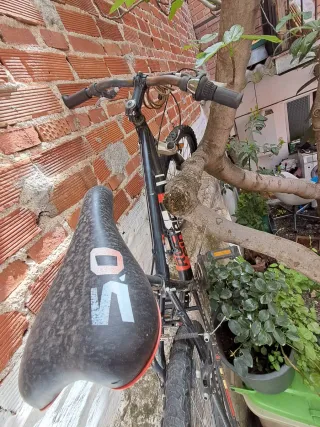 2 Bicicletas: Adulto y Niño