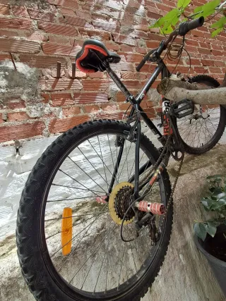 2 Bicicletas: Adulto y Niño