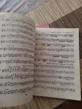 LAZ Método Graduado de Solfeo - Libro V