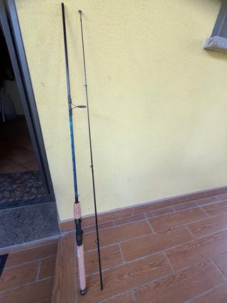 Canna da pesca spinning Lineaeffe Python