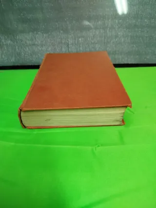 Libro antiguo papillon Henri Charrière vintage