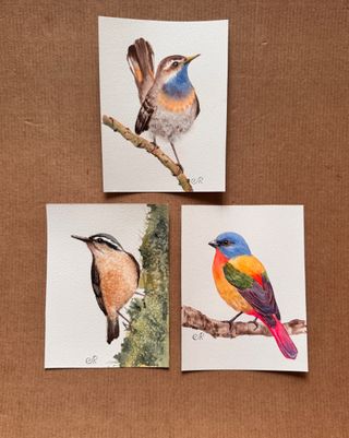 Acuarelas Originales Set de 3 Pájaros