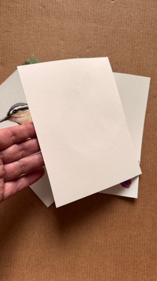 Acuarelas Originales Set de 3 Pájaros