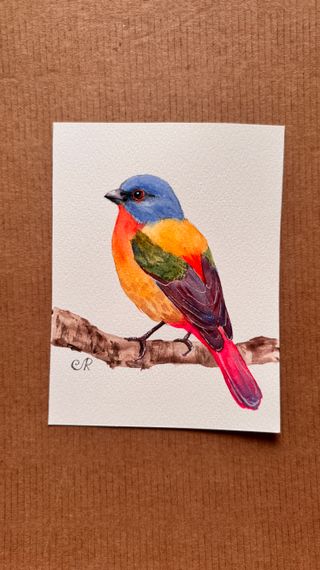 Acuarelas Originales Set de 3 Pájaros