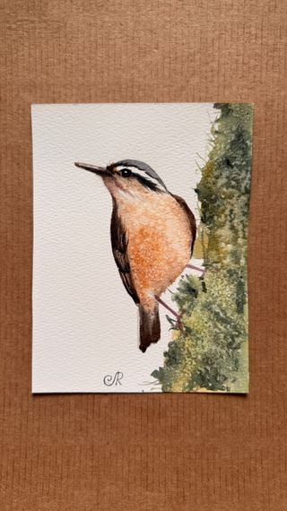 Acuarelas Originales Set de 3 Pájaros