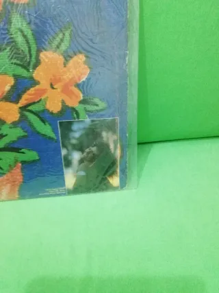 Vinile Elba Ramalho - Alegria