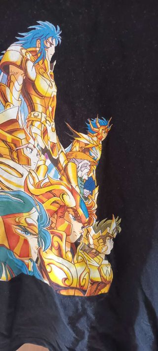 T-shirt 12 Cavalieri d'Oro