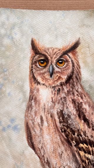 Cuadro Acuarela Búho