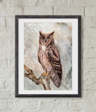 Cuadro Acuarela Búho