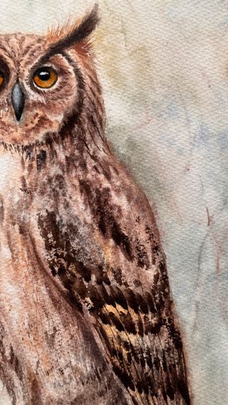 Cuadro Acuarela Búho