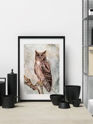 Cuadro Acuarela Búho