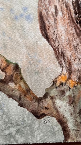 Cuadro Acuarela Búho