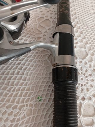 Caña y carrete pesca Caperlan y Shimano