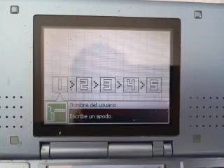Lote 4 Consolas Nintendo DS Funcionando