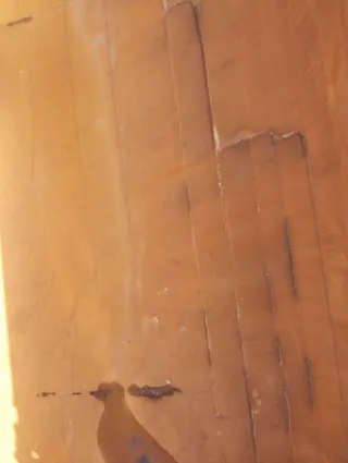 Semirremolque bañera Schmitz