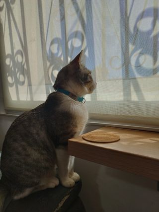 CLASES PARTICULARES PRIMARIA Y ESO