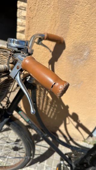 Bicicleta Clásica con Cesta Delantera