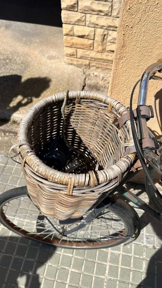 Bicicleta Clásica con Cesta Delantera