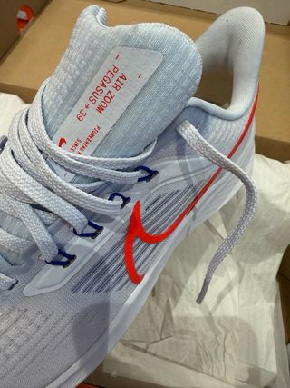 Nike Air Zoom Pegasus 39