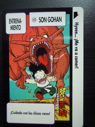 Set Carte vintage serie Dragon Ball Z bandai 1993
