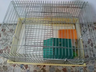 Jaula para hámster con accesorios