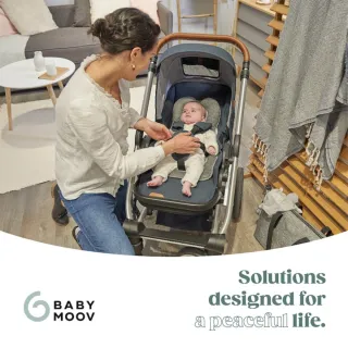 Cojín reductor universal Babymoov Cosymorpho