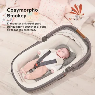 Cojín reductor universal Babymoov Cosymorpho