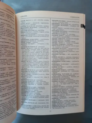 Gramática y diccionario de ingles