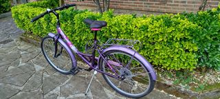 Bicicleta Morada Infantil