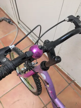 Bicicleta Teens 20 Morada