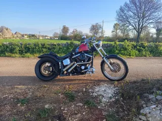 Harley Davidson FXSTC 1340 anno 1990 ASI