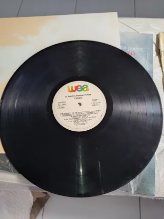 Lotto 2 Vinili Al Bano & Romina Power