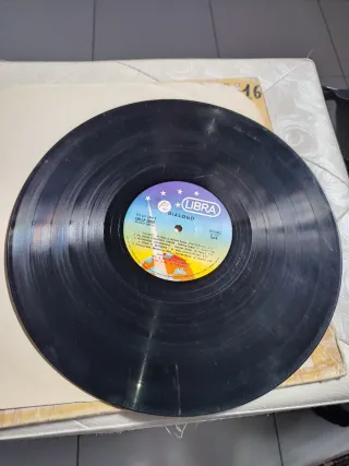 Lotto 2 Vinili Al Bano & Romina Power