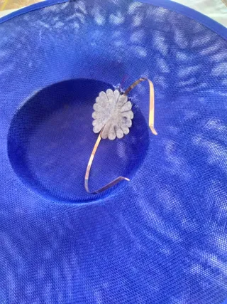 Tocado azul con flores rosas mas bolso