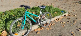 Bicicleta Paseo Mujer Talla M