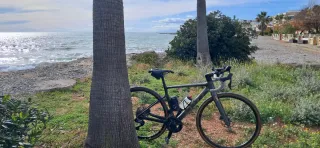 Bicicleta Scott Carretera Carbono