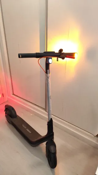 Patinete Eléctrico Segway Ninebot E2 Pro E