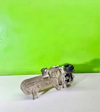 038131513AD Enfriador EGR Volkswagen Golf V 1.9TDI