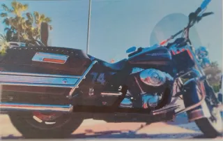 Escudos térmicos de Road King 2006.