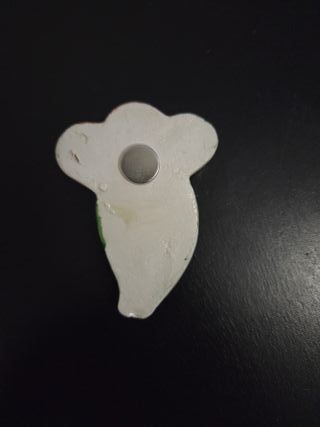 Magneti colorati lucertola e fico d'India