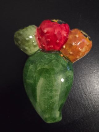 Magneti colorati lucertola e fico d'India