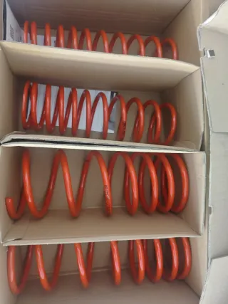 Muelles Cobra Ford Escort 28.9914.2