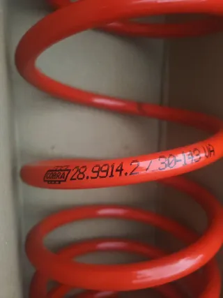 Muelles Cobra Ford Escort 28.9914.2